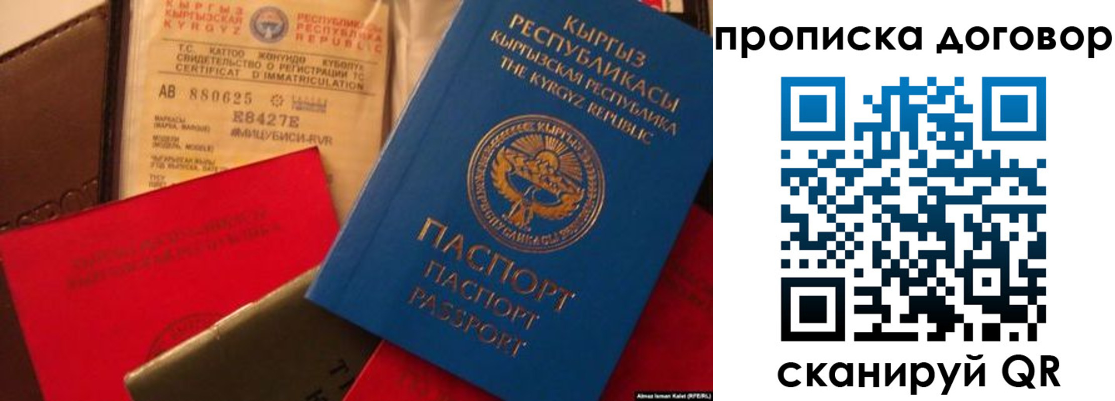 прописка законно в Александровске